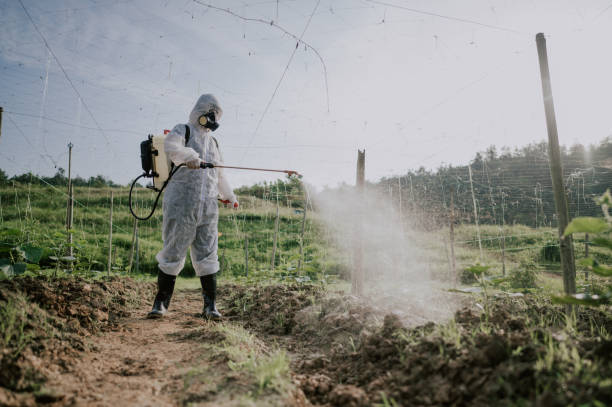 Best Affordable Pest Control Services  in Windsor, CO