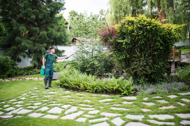 Best Wildlife Control Services  in Windsor, CO
